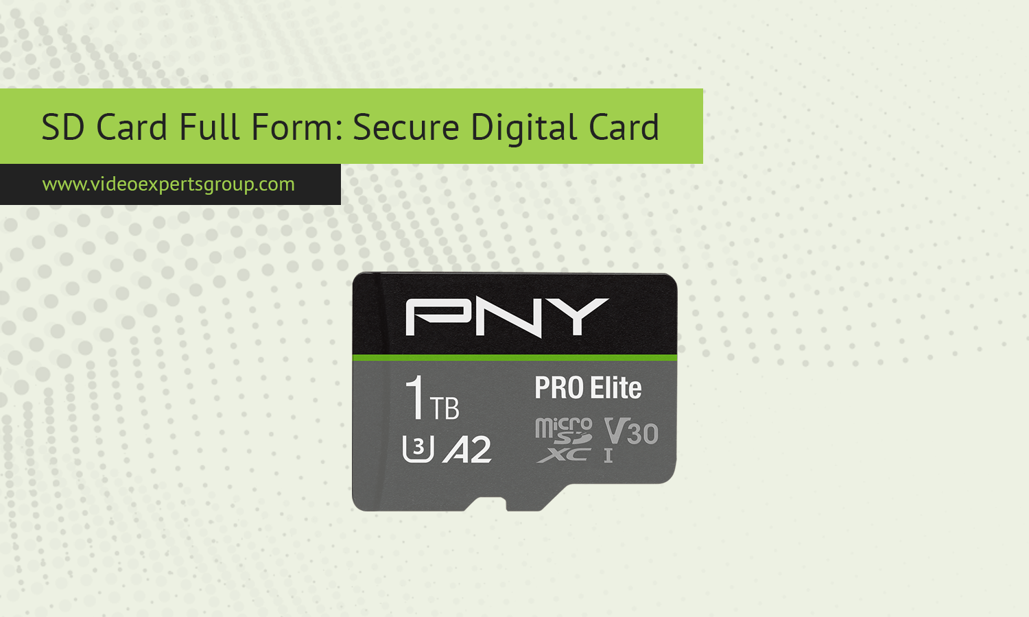 SD Card Full Form: Secure Digital Card