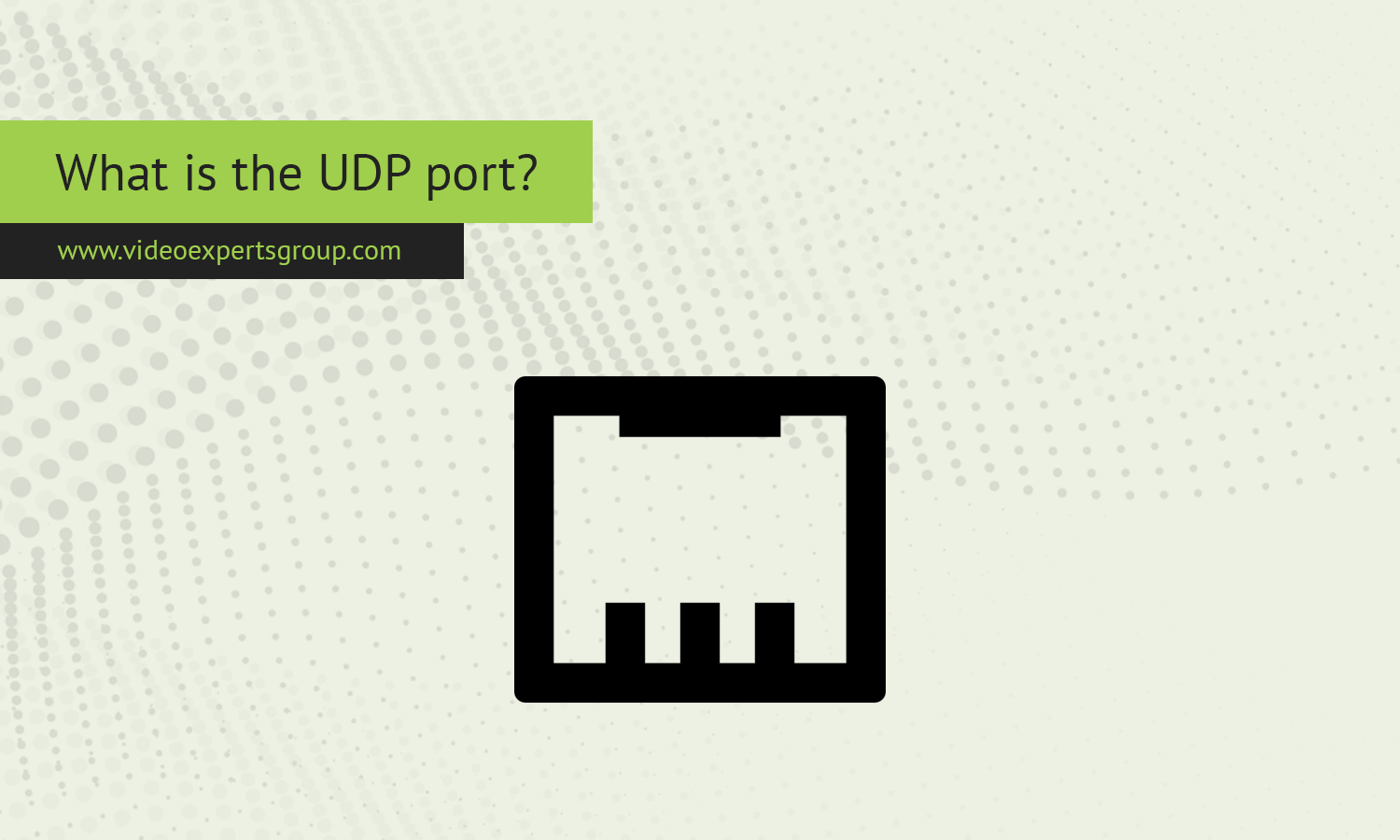 What is the UDP port?