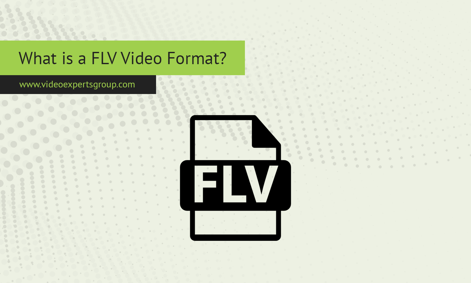 What is a FLV Video Format?