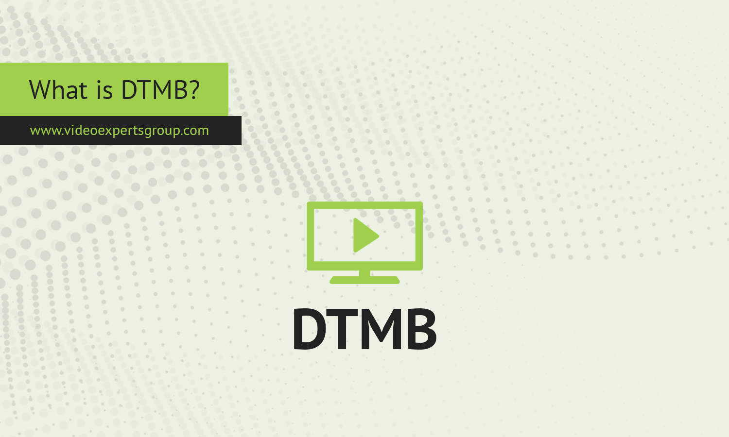 What is Digital Terrestrial Multimedia Broadcast (DTMB)?