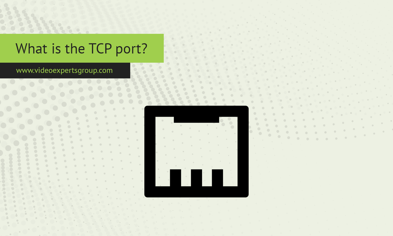 What is the TCP port?