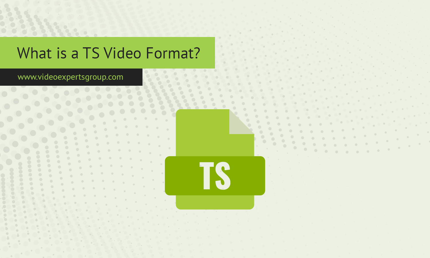 What is a TS Video Format?